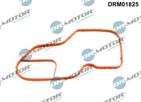Прокладка, корпус термостата DR.MOTOR DRM01825