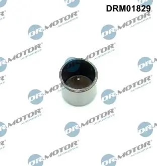 Елемент ТНВД DR.MOTOR DRM01829