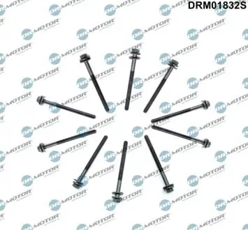 К-т болтiв головки цилiндра 10 елементiв DR.MOTOR DRM01832S