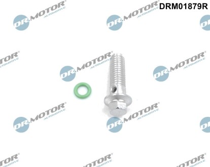 Болт banjo DR.MOTOR DRM01879R (фото 1)