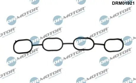 Прокладка колектора DR.MOTOR DRM01921