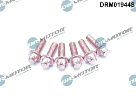 Болти крiплення турбiни, 6 шт DR.MOTOR DRM01944S