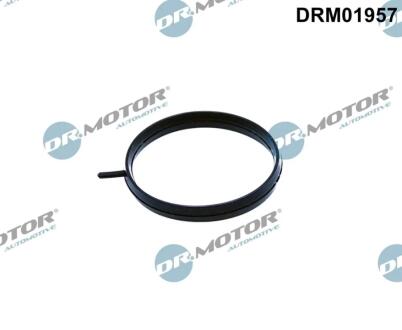 Прокладка колектора DR.MOTOR DRM01957