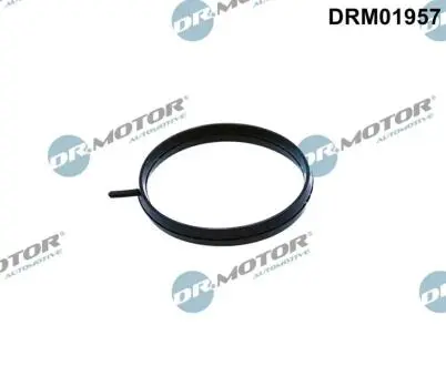 Автозапчасть DR.MOTOR DRM01957