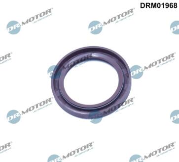 Автозапчасть DR.MOTOR DRM01968