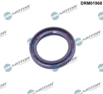 Автозапчасть DR.MOTOR DRM01968