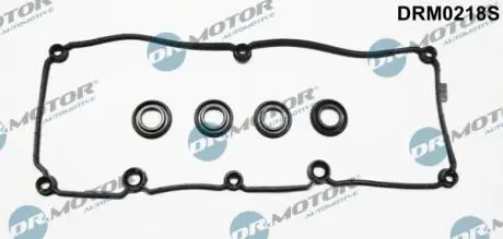 Комплект прокладок клапанной крышки DR.MOTOR DRM0218S