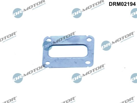 Прокладка колектора DR.MOTOR DRM02194