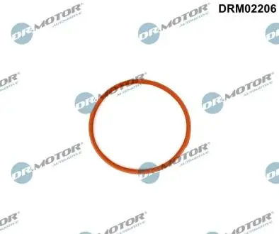 Автозапчасть DR.MOTOR DRM02206