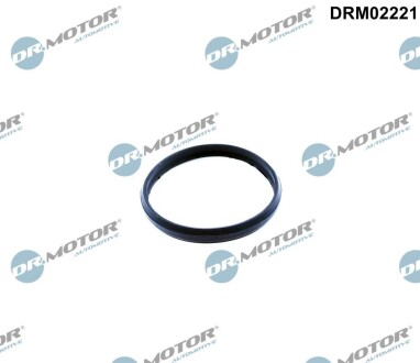 Ущiльнююче кiльце DR.MOTOR DRM02221