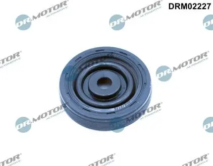 Автозапчасть DR.MOTOR DRM02227