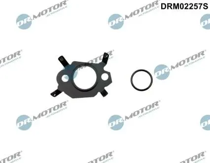 Прокладка клапана рециркуляцiї к-т DR.MOTOR DRM02257S