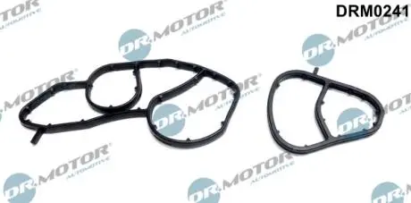 Прокладка корпус масляного фільтра ZESTAW USZCZELEK FILTRA OLEJU CITROEN 1,6HDI DR.MOTOR DRM0241
