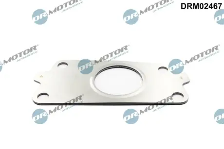Прокладка турбiни DR.MOTOR DRM02467 (фото 1)