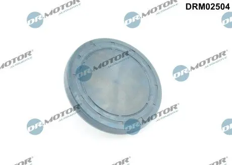 Заглушка ГБЦ DR.MOTOR DRM02504