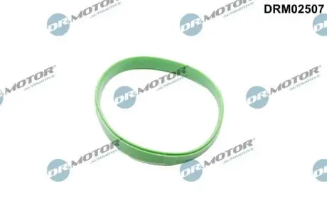 Прокладка колектора впускного DR.MOTOR DRM02507