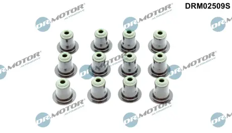 К-т сальники клапанiв 12 шт DR.MOTOR DRM02509S