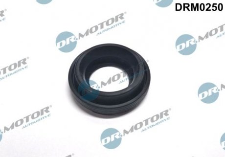 Кільце гумове DR.MOTOR DRM0250 (фото 1)