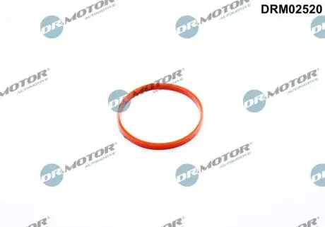 Прокладка колектора DR.MOTOR DRM02520