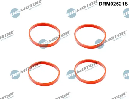 Прокладка колектора 4шт DR.MOTOR DRM02521S