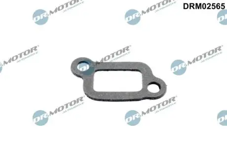 Прокладка, корпус термостата DR.MOTOR DRM02565