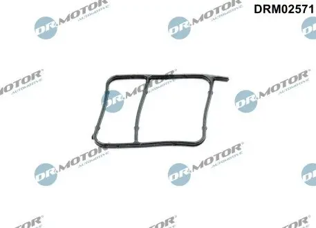 Прокладка помпи води DR.MOTOR DRM02571