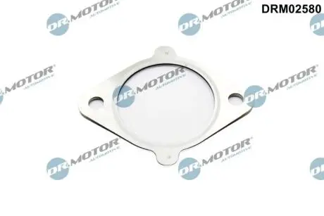 Прокладка клапану рециркуляцiї DR.MOTOR DRM02580