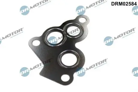 Прокладка масляного фiльтра DR.MOTOR DRM02584