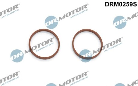 К-т прокладок впускного колектора DR.MOTOR DRM0259S