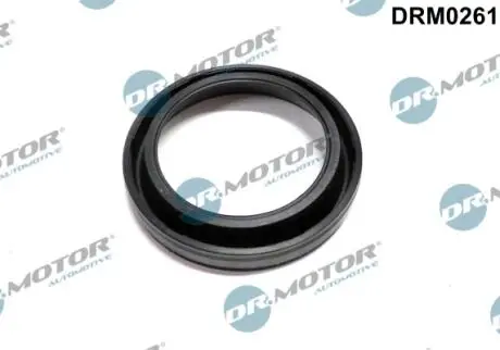 Уплотнение инжектора DR.MOTOR DRM0261