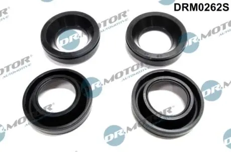 Уплотнение инжектора DR.MOTOR DRM0262S