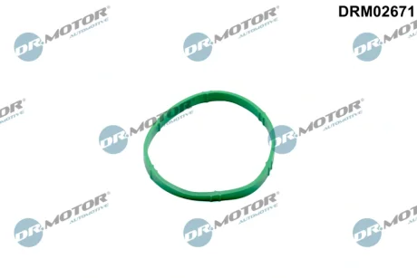 Прокладка дросельної заслiнки DR.MOTOR DRM02671