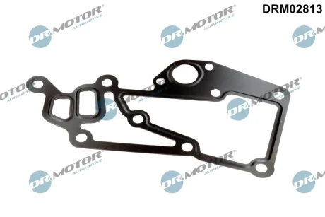 Прокладка двигуна металева DR.MOTOR DRM02813