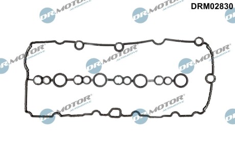 Прокладка клапанної кришки DR.MOTOR DRM02830