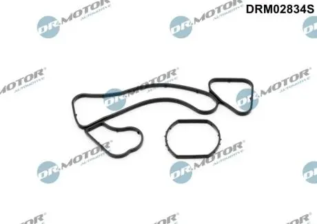 Комплект прокладок гумових DR.MOTOR DRM02834S