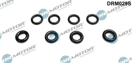 Уплотняющее кольцо DR.MOTOR DRM029S