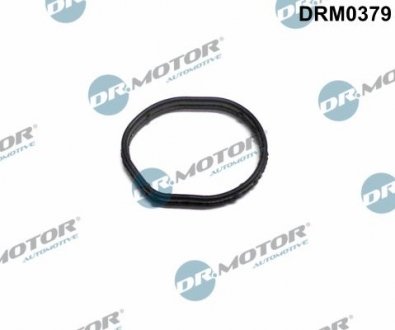 Прокладка гумова DR.MOTOR DRM0379