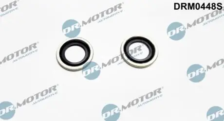 Комплект прокладок турбокомпресора FORD FOCUS 2,0 DR.MOTOR DRM0448S