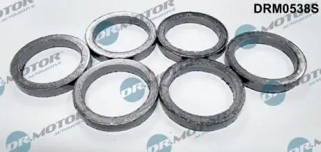 Кольцо уплотнительное WYD. BMW 5 F11 10- 6SZT. DR.MOTOR DRM0538S