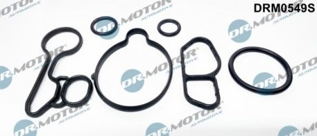 Комплект прокладок гумових DR.MOTOR DRM0549S (фото 1)