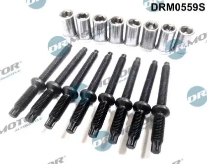 Комплект болтов двигателя с фигурной головкой DR.MOTOR DRM0559S