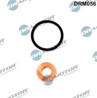Ремкомплект форсунки 2 елемента DR.MOTOR DRM056