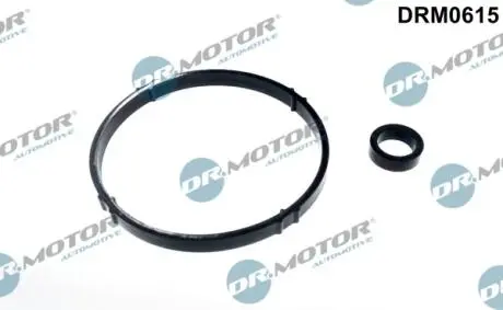 Прокладка корпуса масляного фильтра DR.MOTOR DRM0615