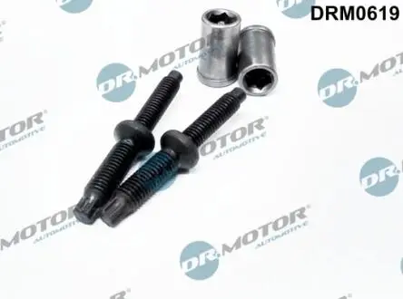 Комплект болтов двигателя с фигурной головкой DR.MOTOR DRM0619