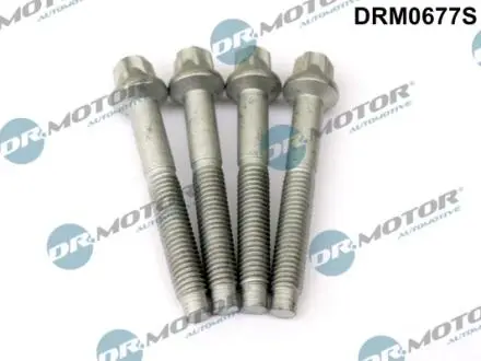 Комплект болтов двигателя с фигурной головкой DR.MOTOR DRM0677S