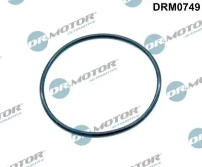 Прокладка колектора DR.MOTOR DRM0749