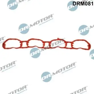Прокладка колектора SSĄCEGO VAG Прокладка, впускний колектор DR.MOTOR DRM081