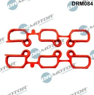 Набор прокладок, впускной коллектор BMW Набор прокладок, впускной коллектор DR.MOTOR DRM084