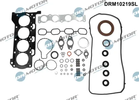Комплект прокладок двигуна 56 елементiв DR.MOTOR DRM10219SL