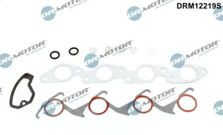 Комплект прокладок двигуна 12 елементiв DR.MOTOR DRM12219S